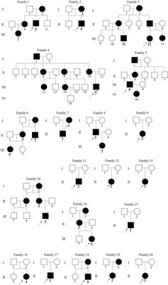 Clinical and genetic characteristics of 29 Chinese patients with X-linked hypophosphatemia